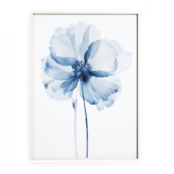 Blue Watercolor Flower Fine Art 