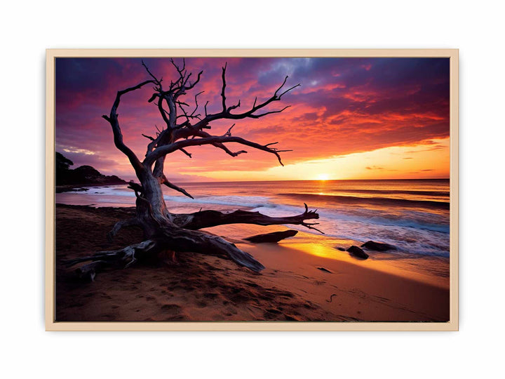 Beach Sunset  framed Print