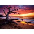 Beach Sunset 