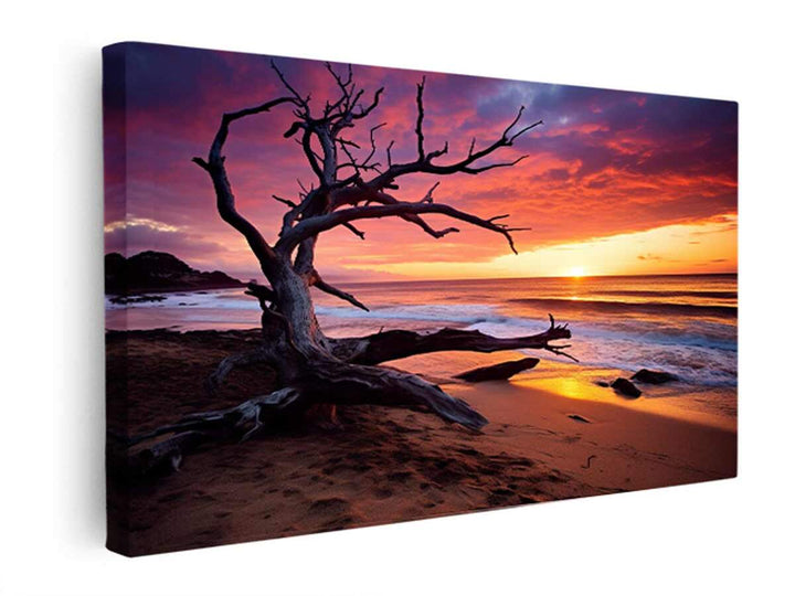 Beach Sunset   canvas Print