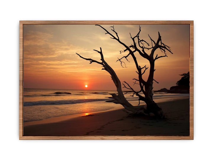 Botany Bay Australia Sunset Art   Painting