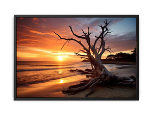 Botany Bay Australia beach sunset with sculptural tree for coastal living room wall art.