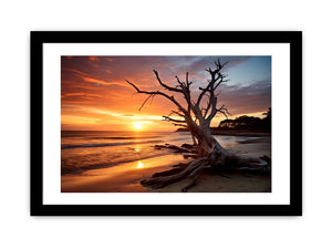 Framed Print