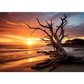 Botany Bay Australia  