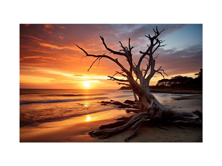 Botany Bay Australia Painting