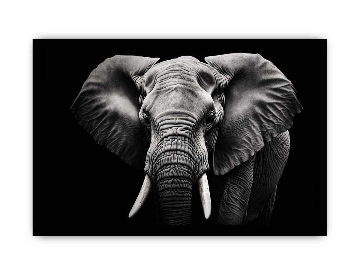 Black and white elephant canvas art for dramatic modern living room or office decor.