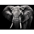 Black and white elephant canvas art for dramatic modern living room or office decor.