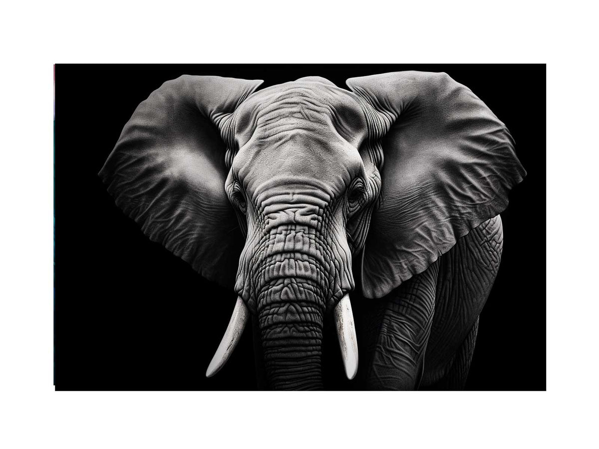 Black and white elephant canvas art for dramatic modern living room or office decor.