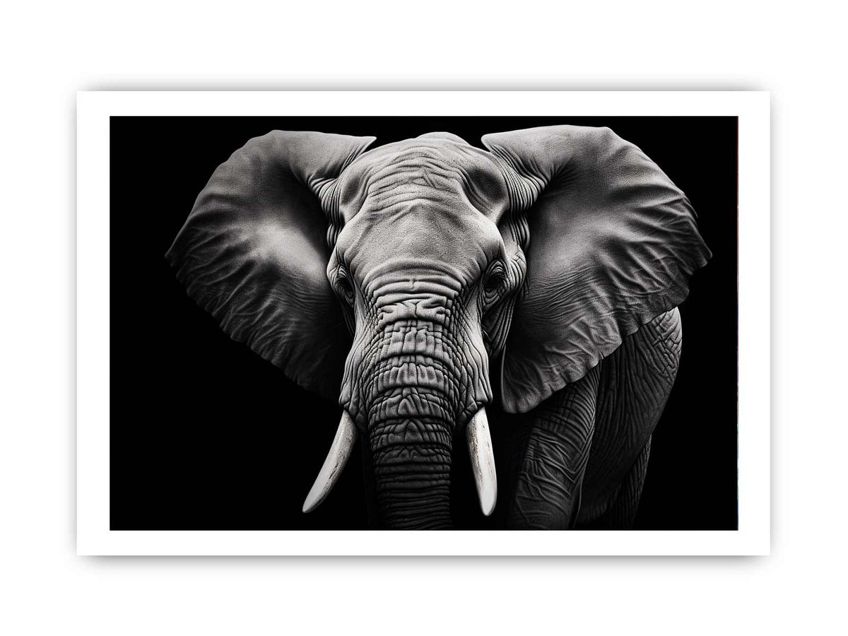 Black and white elephant canvas art for dramatic modern living room or office decor.