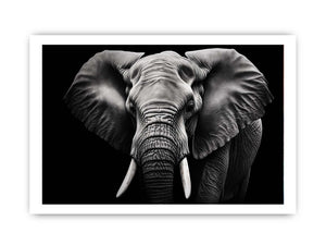 Black and white elephant canvas art for dramatic modern living room or office decor.