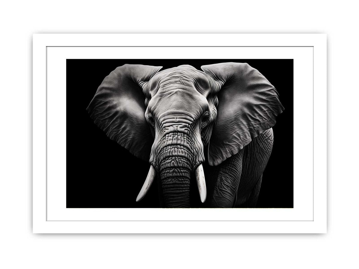 Black and white elephant canvas art for dramatic modern living room or office decor.
