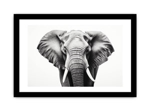 Framed Print