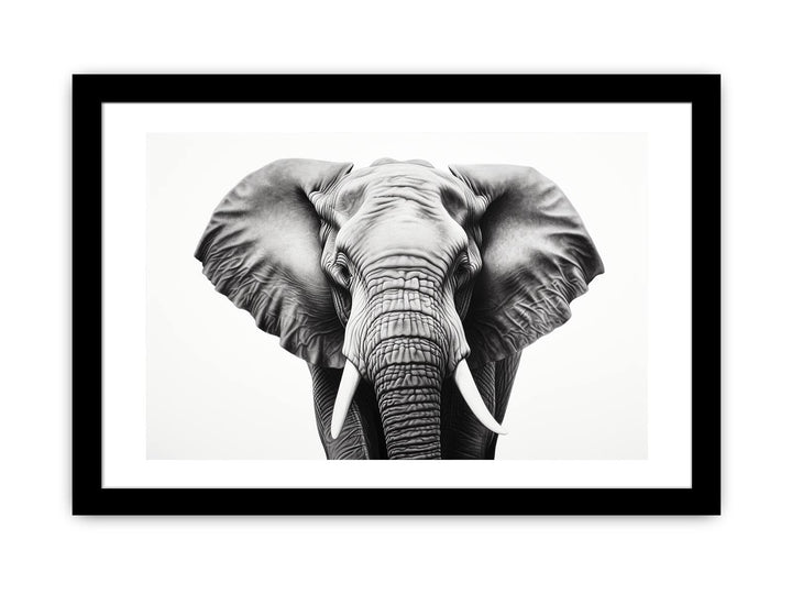 Framed Print