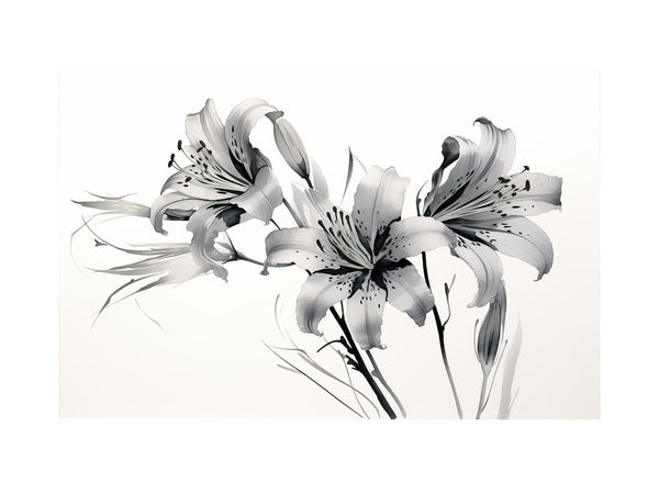 Amaryllis Floral  