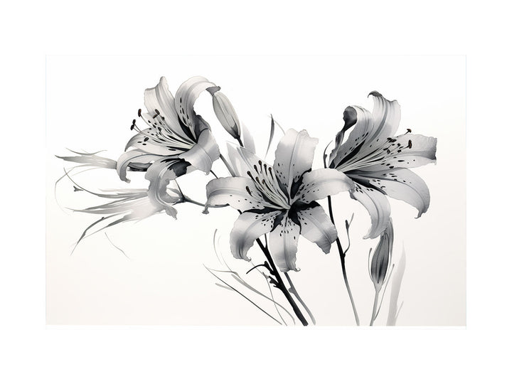 Amaryllis Floral  