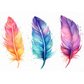 Colorfull Boho Feathers 