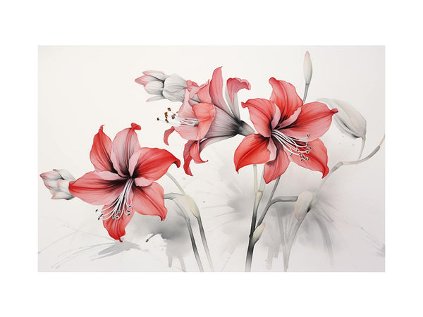 Amaryllis Flowers  
