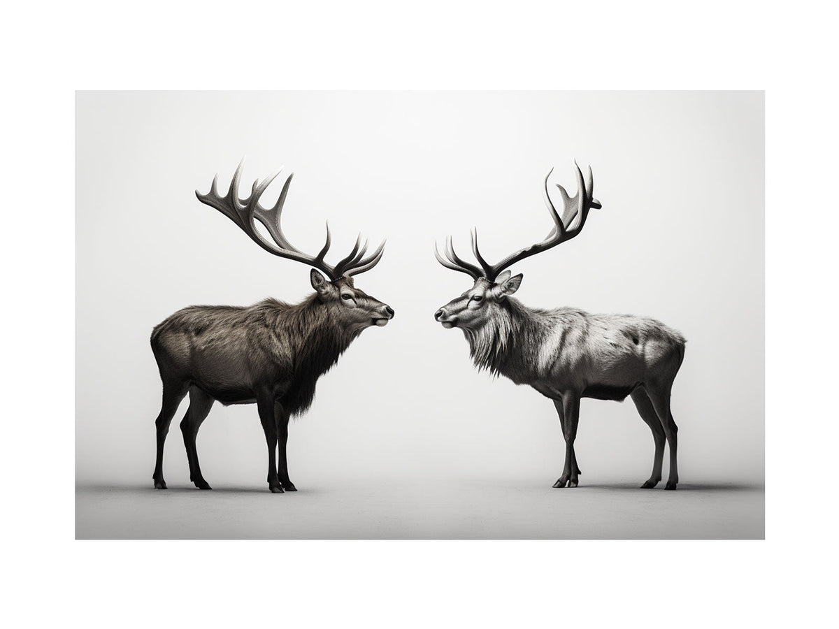 Black and white stag canvas art featuring two deer with antlers for modern office decor.