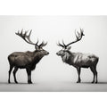 Eye To Eye Stags