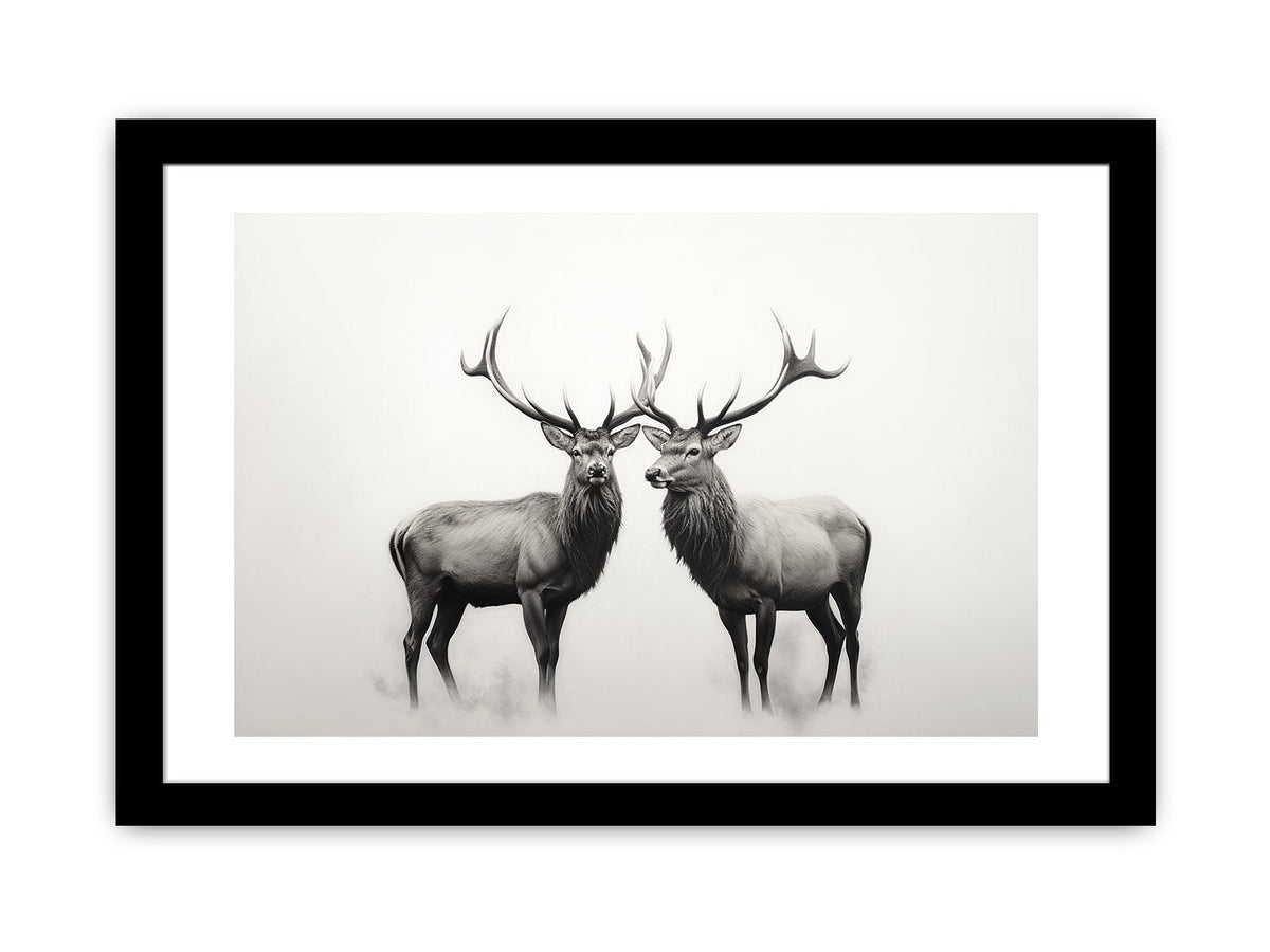 Framed Print