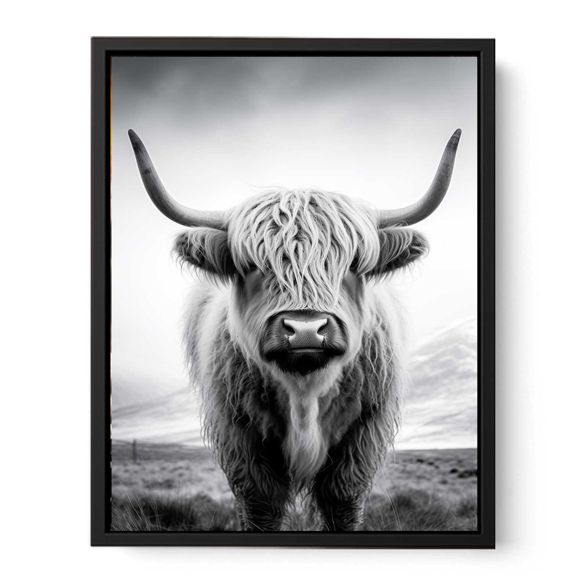 Black and white Highland cow canvas art for rustic farmhouse living room decor.