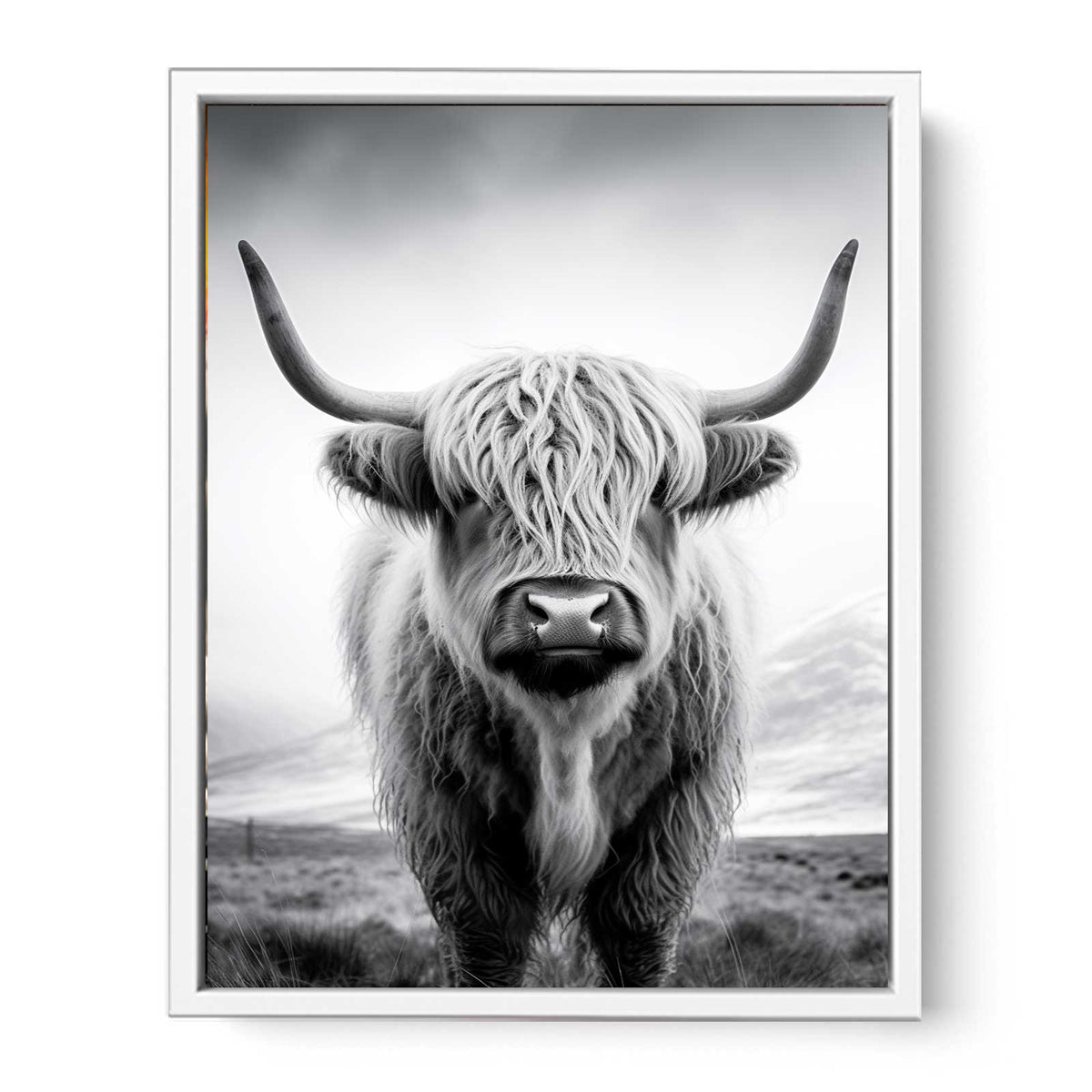 Black and white Highland cow canvas art for rustic farmhouse living room decor.