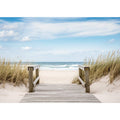 Beach Path Painting