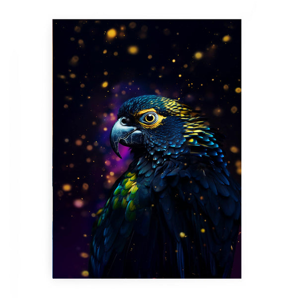 Cockatoo 
