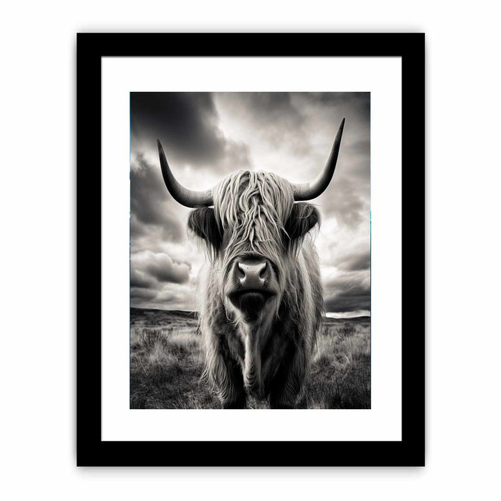 Framed Print