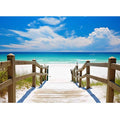 Florida Beach Path