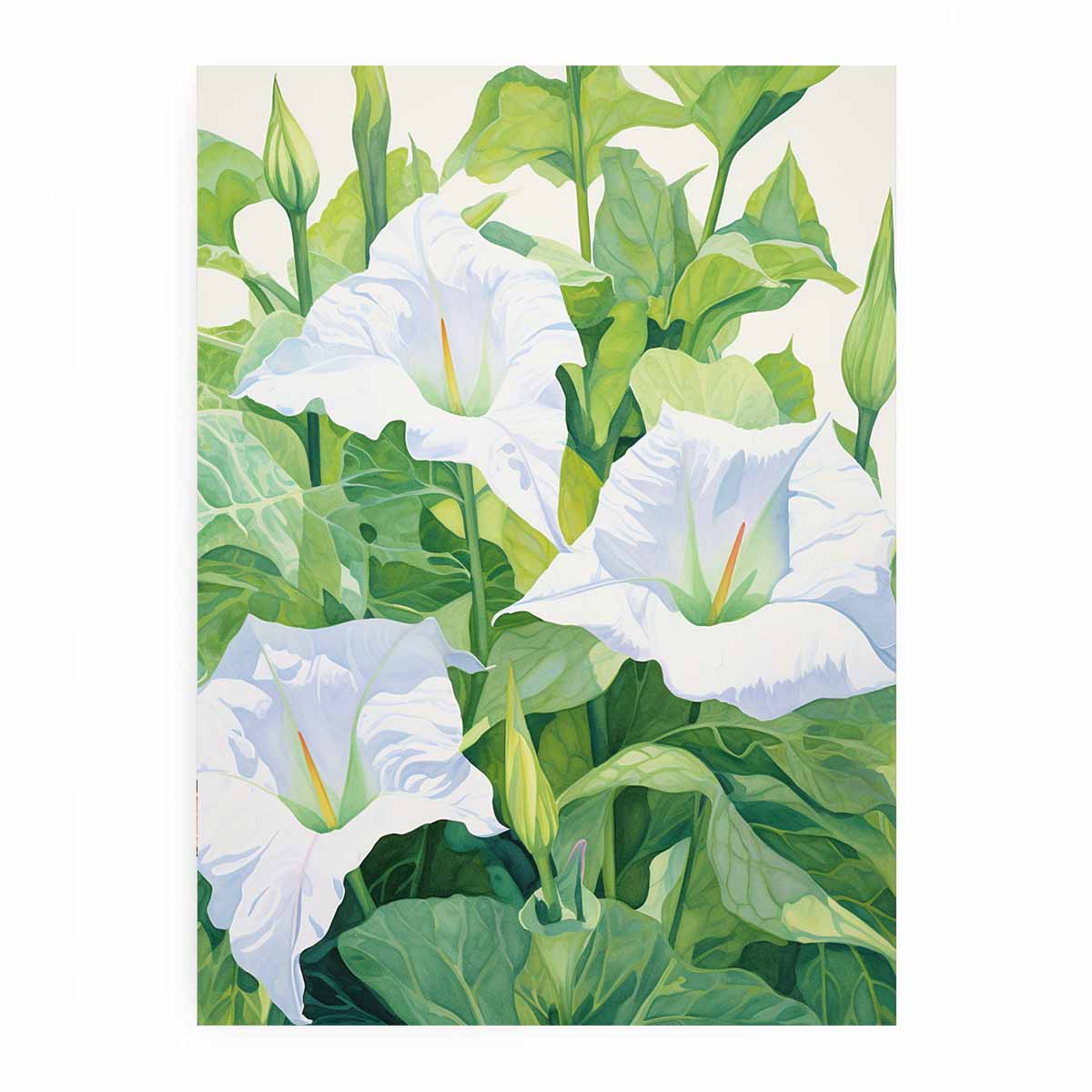White jimson weed botanical canvas art for serene bedroom or bathroom decor.