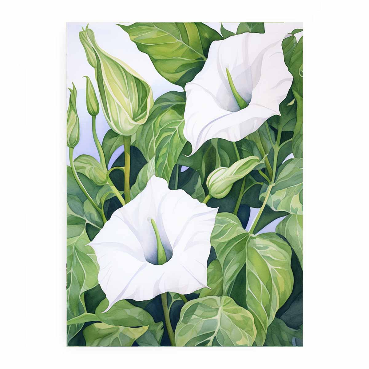 White trumpet flower botanical canvas artwork for calm green bedroom decor.