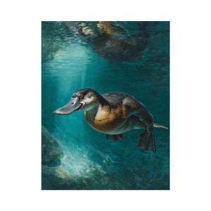 Platypus underwater canvas art in soft green tones for calm bedroom or bathroom decor.