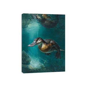Platypus underwater canvas art in soft green tones for calm bedroom or bathroom decor.