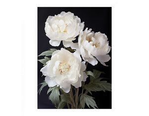White peony floral canvas art on black background for elegant bedroom decor.
