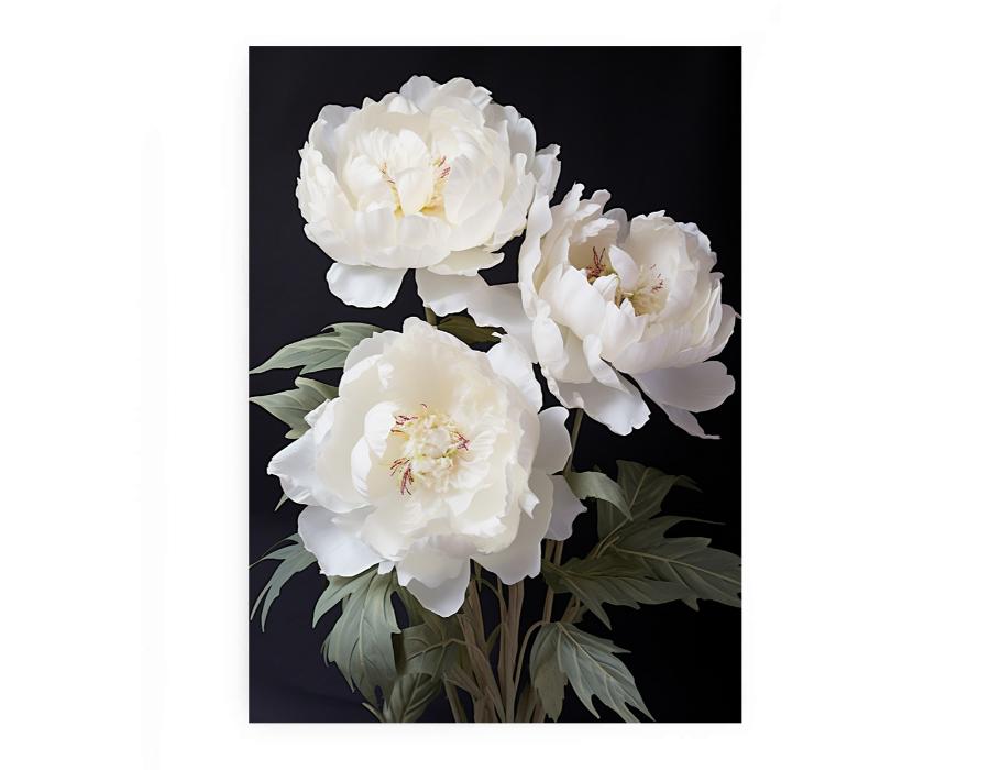 White peony floral canvas art on black background for elegant bedroom decor.