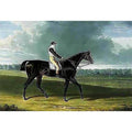 Filho da Puta', the Winner of the Great St. Leger at Doncaster by John Frederick Herring Snr