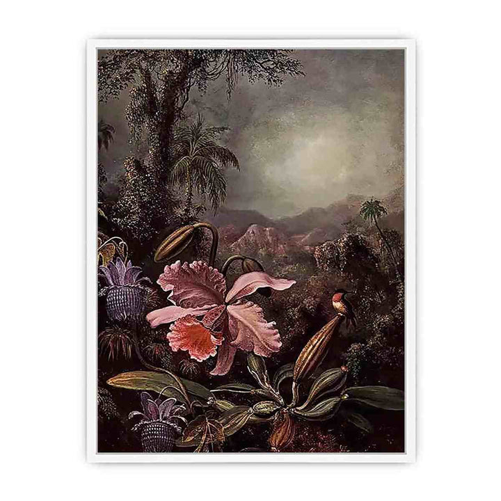 Orchids Passion Flowers And Hummingbird Framed Print