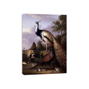 Peacock, Hen and Cock Pheasant in a Landscape by Tobias Stranover Painting