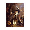 Peacock, Peahen and Poultry in a Landscape by Tobias Stranover