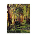 Forest Scene by Thomas Moran