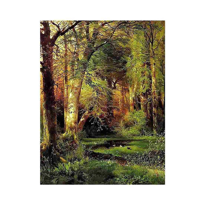 Forest Scene

