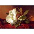 A Magnolia On Red Velvet by Martin Johnson Heade