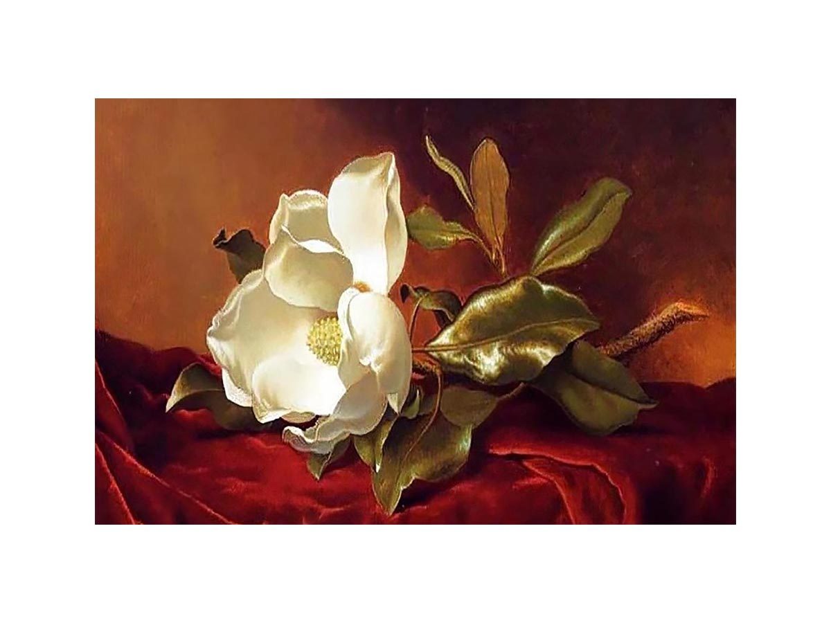 A Magnolia On Red Velvet by Martin Johnson Heade