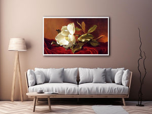A Magnolia On Red Velvet by Martin Johnson Heade Painting