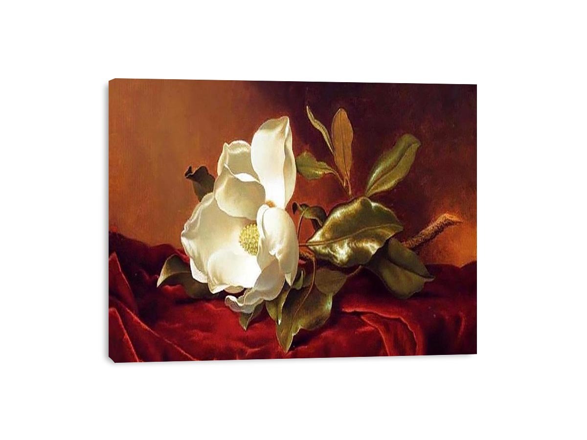 A Magnolia On Red Velvet by Martin Johnson Heade Painting