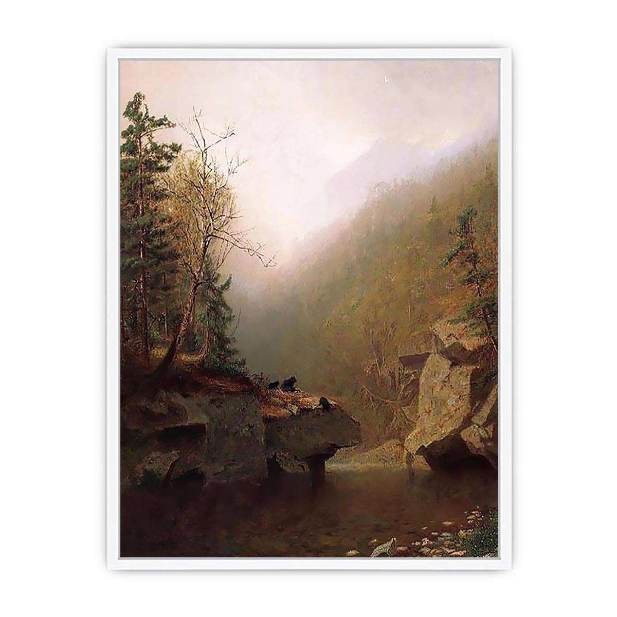 Three Bears Framed Print