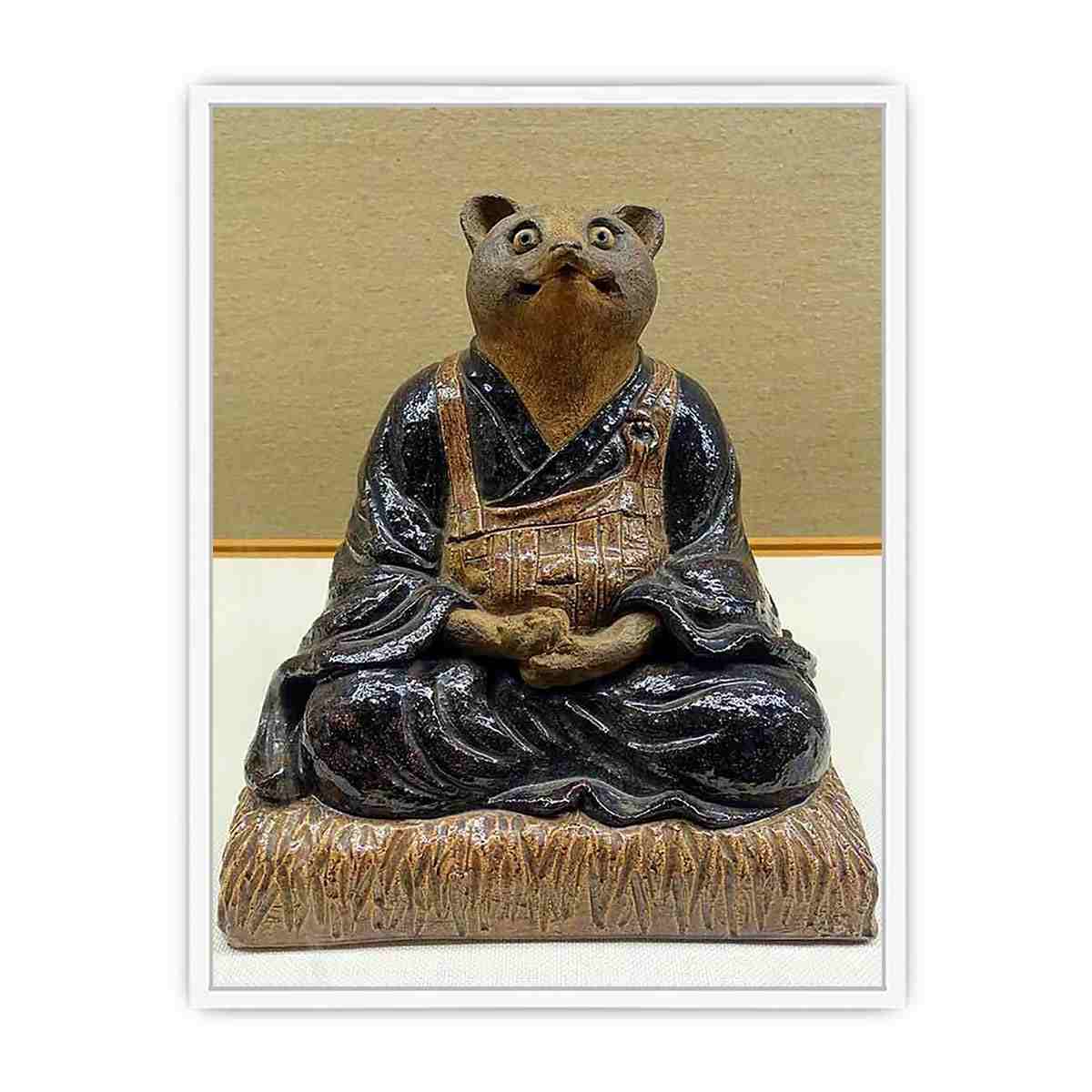 Raccoon dog form Framed Print