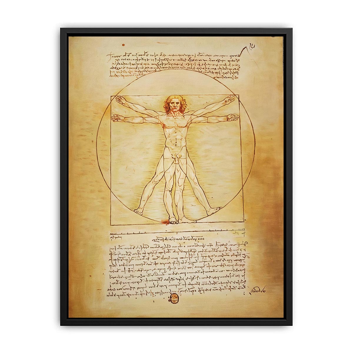 Vitruvian Man by Leonardo Da Vinci Canvas Print