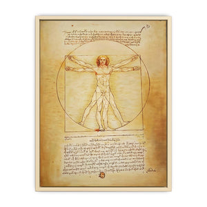 Vitruvian Man by Leonardo Da Vinci  Art Print